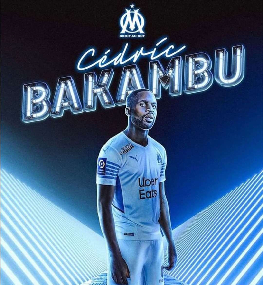 青少年羽毛 青少年羽毛