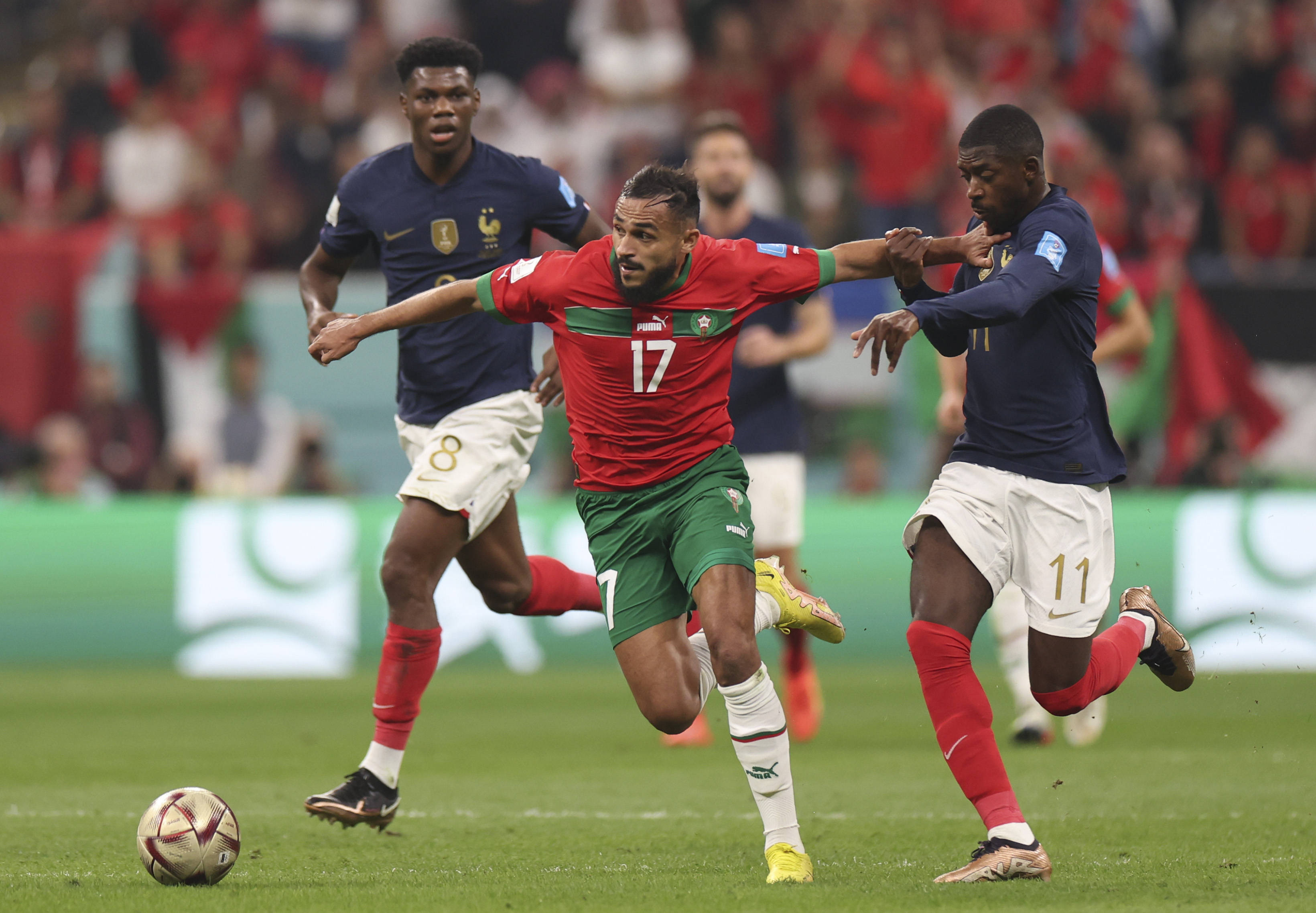 彰那些在体 彰那些在体