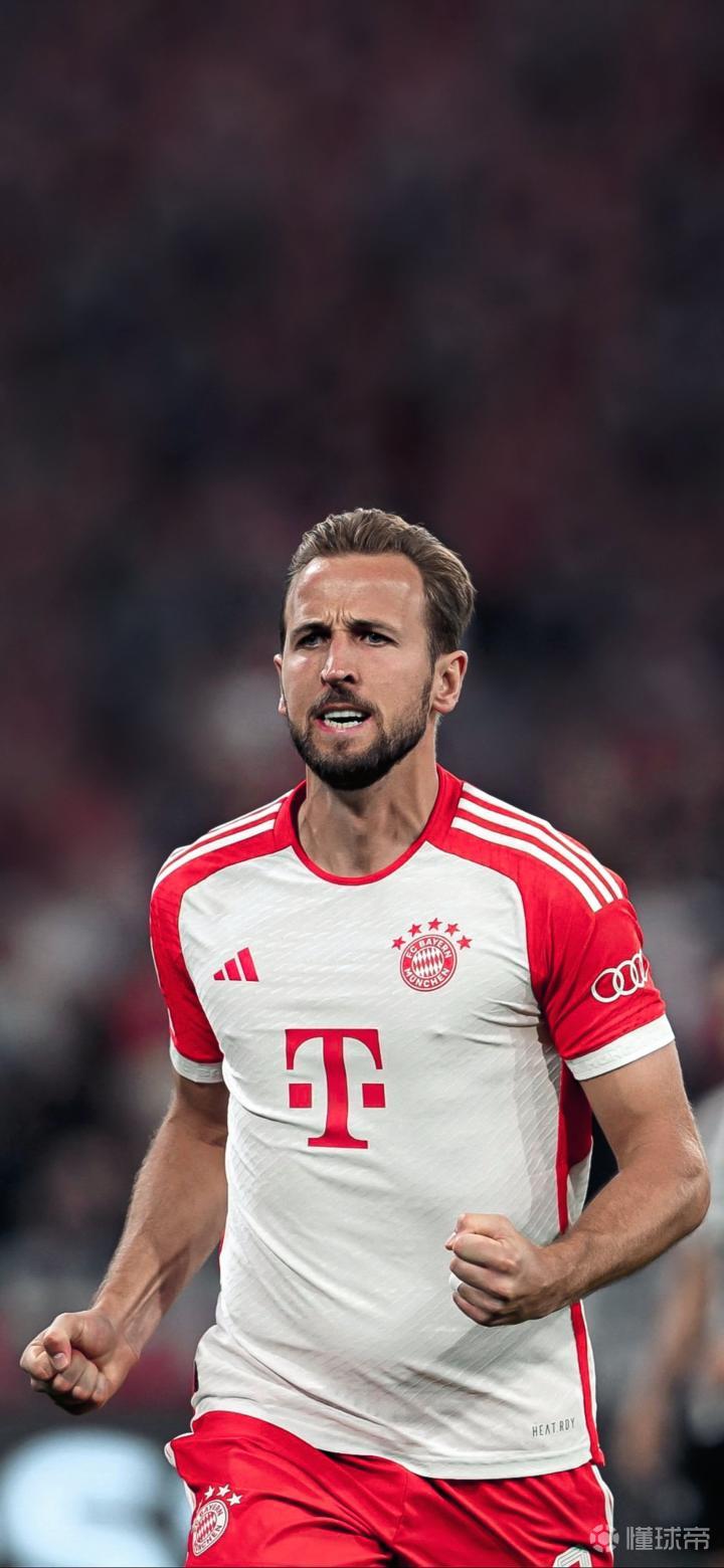 荣誉与外观 荣誉与外观